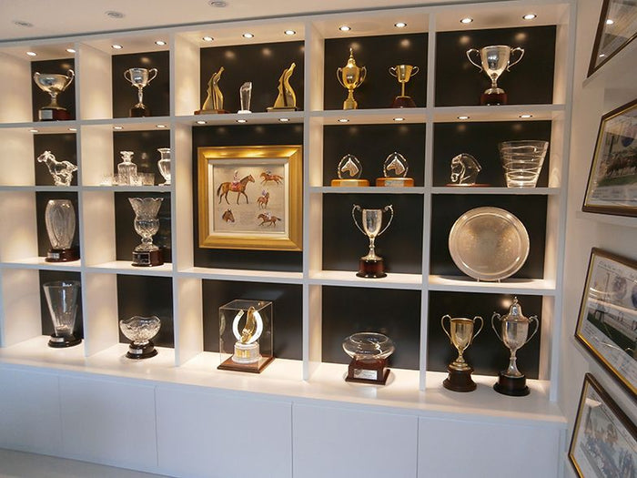 Reflections of Excellence: How Glass Cabinets Mirror School Values - Display Cabinets Direct