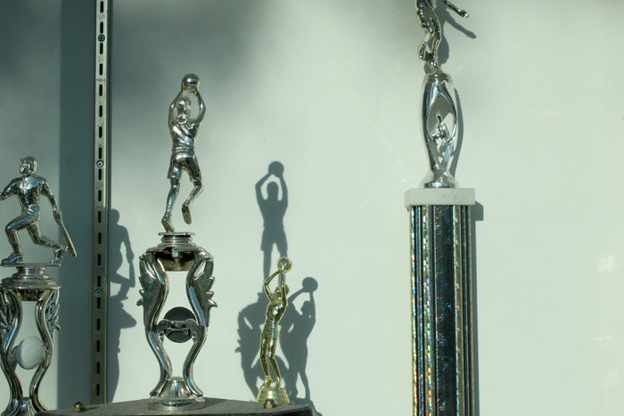 7 Trophy Case Ideas to Proudly Display Your Awards at Home - Display Cabinets Direct