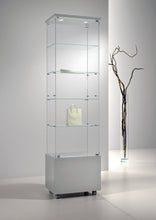 Premier Lite 6.22M Tall Glass Display Showcase - Display Cabinets Direct