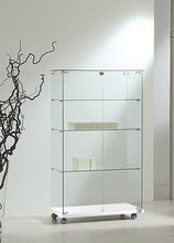 Premier Lite 8.14 Glass Display Unit - Display Cabinets Direct