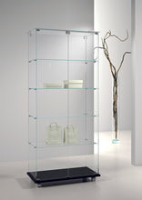 Premier Lite 8.18 Glass Display Cabinet - Display Cabinets Direct
