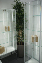 Fusion Plus 51/17P Display Cabinet On Legs - Display Cabinets Direct