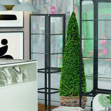 Cobalt Iron Display Cabinet - 3 Shelves - Display Cabinets Direct
