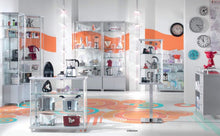 Fusion 2PF Lockable Glass Display Cabinet with Adjustable Shelf & Wood Veneered Base - Display Cabinets Direct