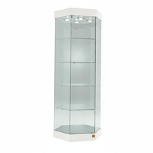 Premier 201 Sechseckige Vitrine mit Oberlicht