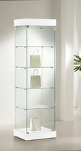 0.53 Premier Glass Display Showcase Slim & Top Lights (0.53M Wide x 1.88M High) More Colours  (P181)