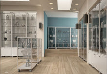 Fusion Plus 6PLP Jewellery Display Case - Display Cabinets Direct