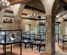 Bravura MU80 Display Showcase - Display Cabinets Direct